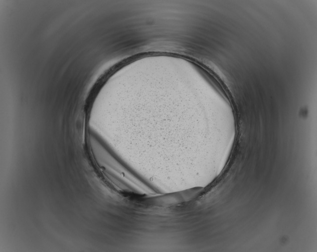 X0000094331123200711241823