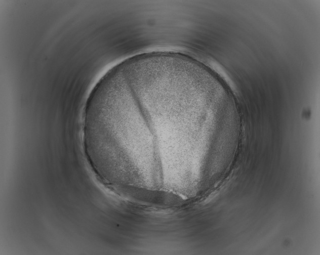 X0000094331124200711241823
