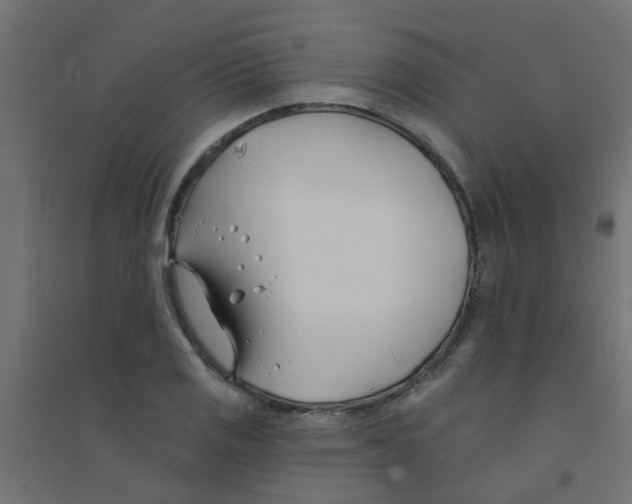 X0000094331125200711241823