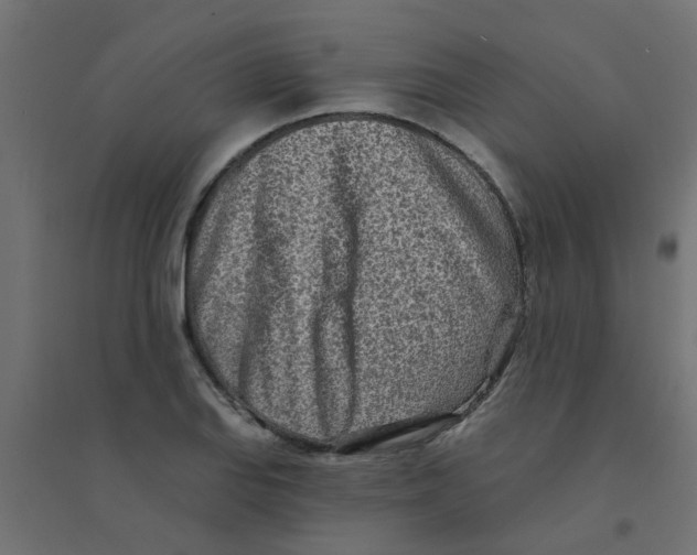 X0000094331127200711241823