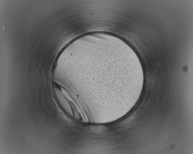 X0000094331129200711241823