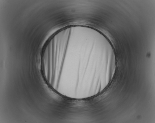 X0000094331131200711241823