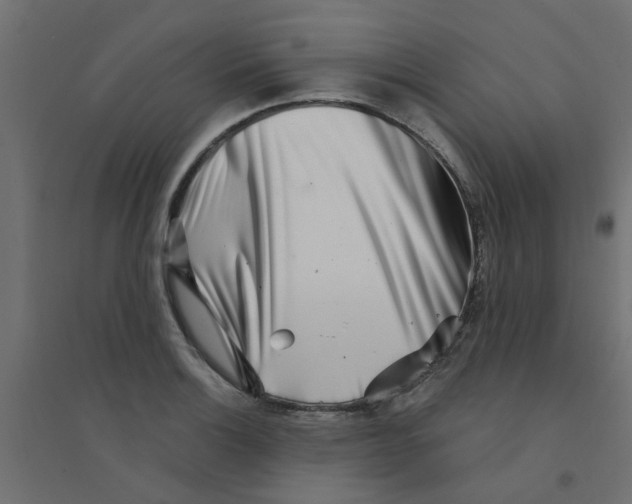X0000094331132200711241823