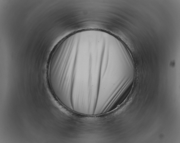 X0000094331134200711241823