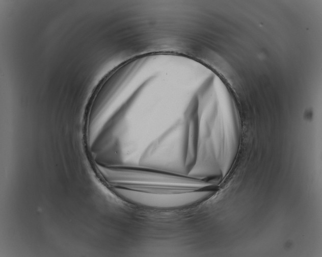 X0000094331135200711241823