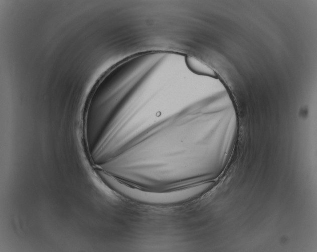 X0000094331136200711241823