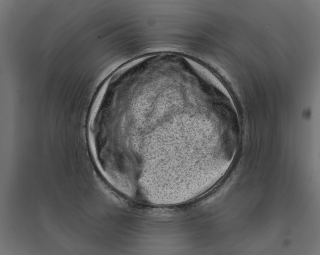 X0000094331137200711241823