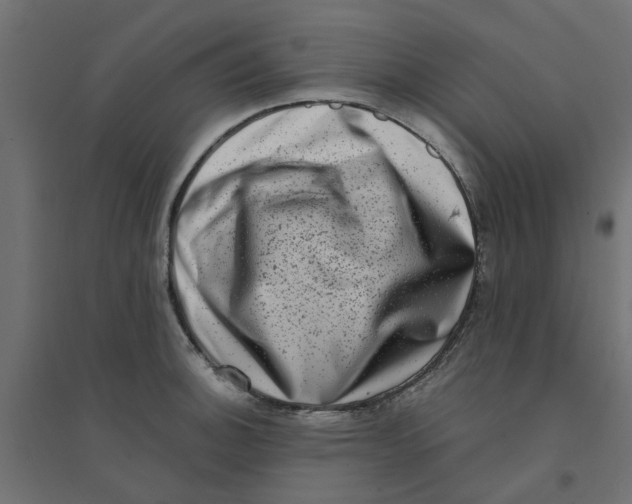 X0000094331140200711241823