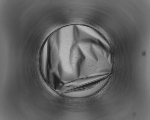X0000094331142200711241823