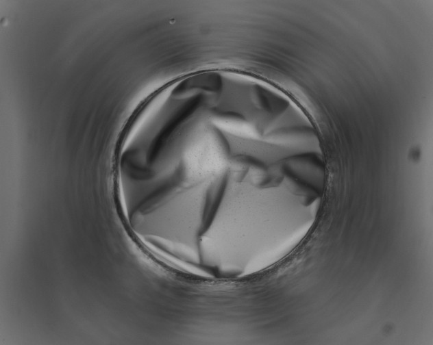 X0000094331143200711241823