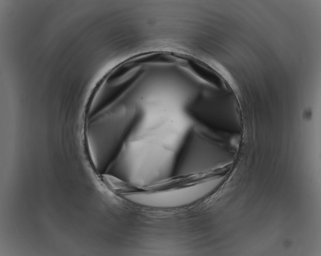 X0000094331144200711241823