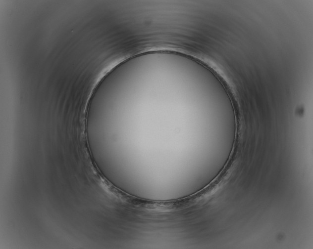 X0000094331145200711241823