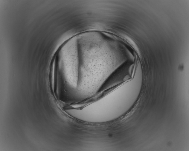 X0000094331146200711241823