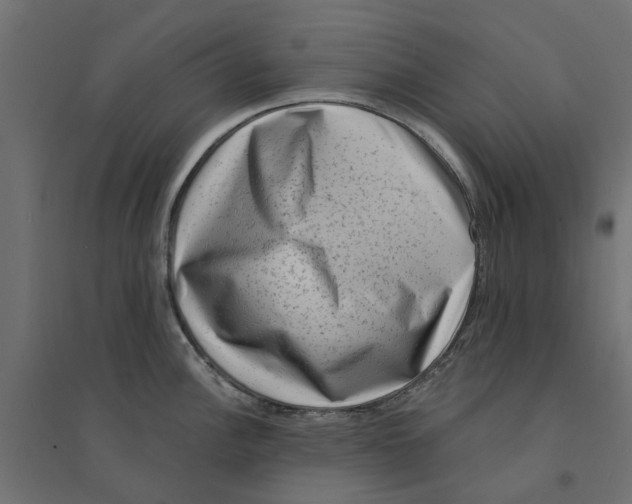 X0000094331148200711241823