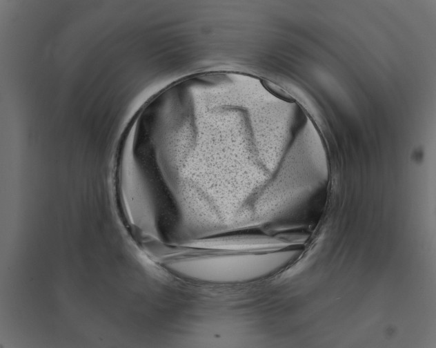 X0000094331149200711241823