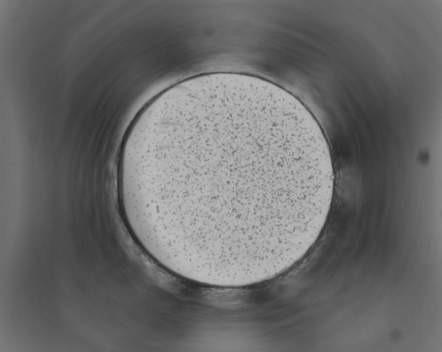 X0000094331150200711241823