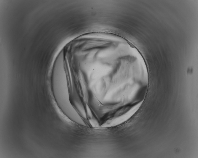 X0000094331152200711241823
