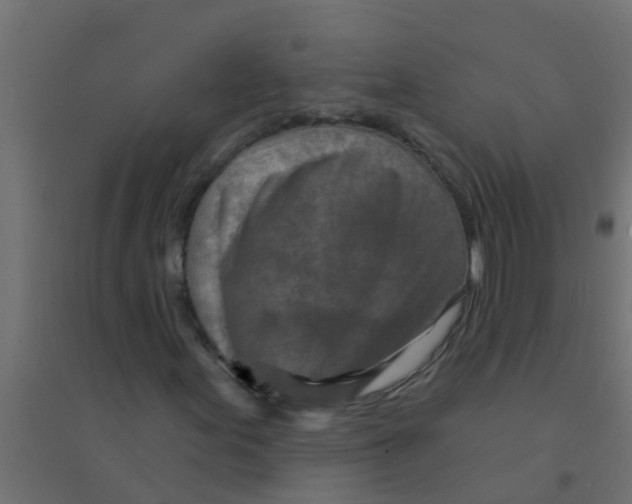 X0000094331155200711241823