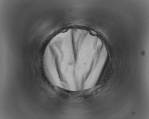 X0000094331159200711241823