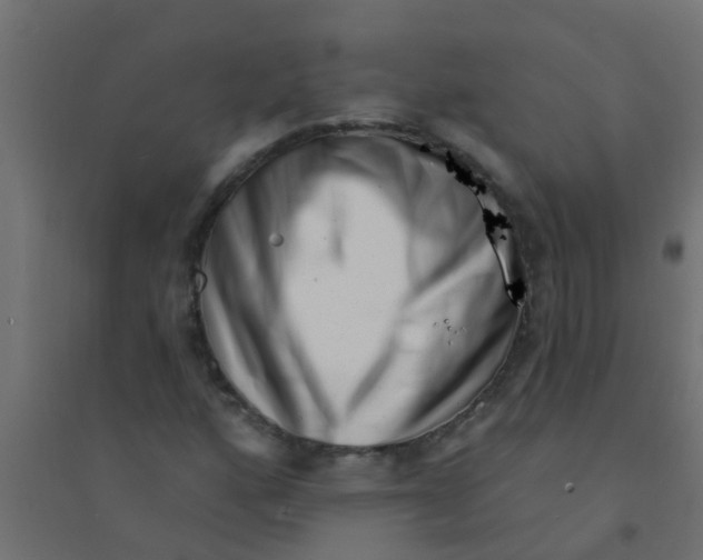 X0000094331160200711241823