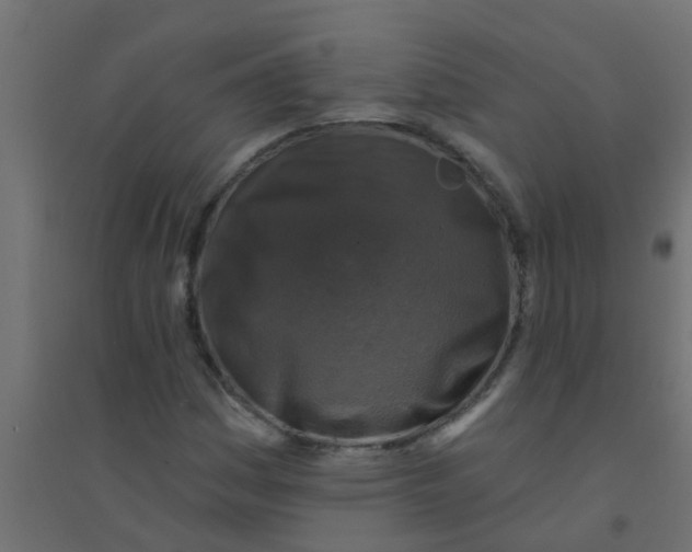 X0000094331161200711241823