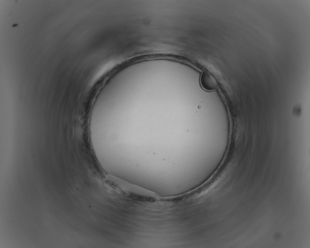 X0000094331163200711241823
