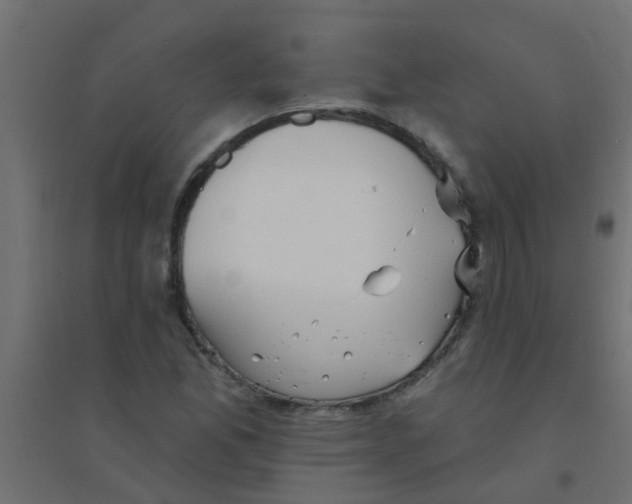 X0000094331165200711241823