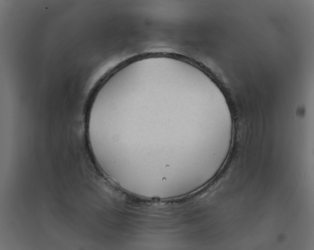 X0000094331167200711241823
