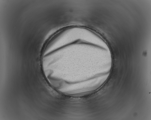 X0000094331168200711241822