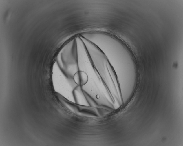 X0000094331169200711241822