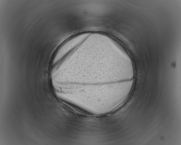 X0000094331170200711241822