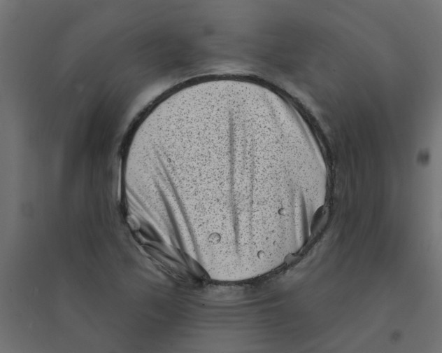 X0000094331171200711241822