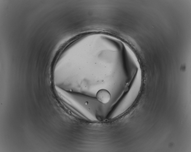 X0000094331172200711241822
