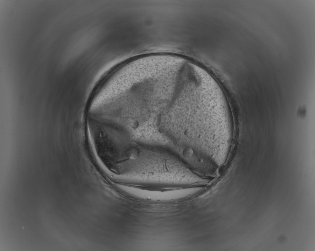 X0000094331174200711241822