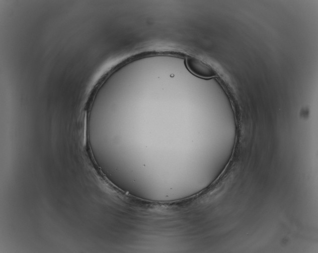 X0000094331175200711241822