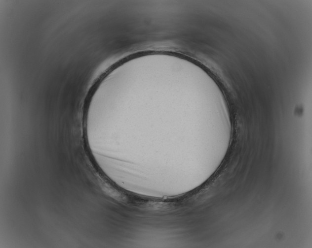 X0000094331176200711241822