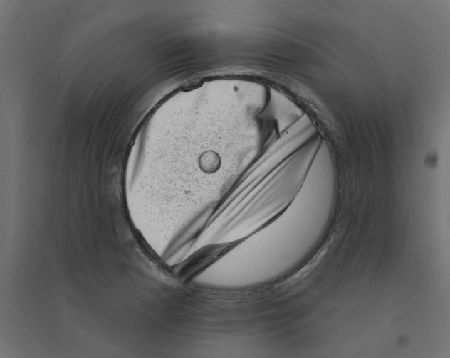 X0000094331177200711241822