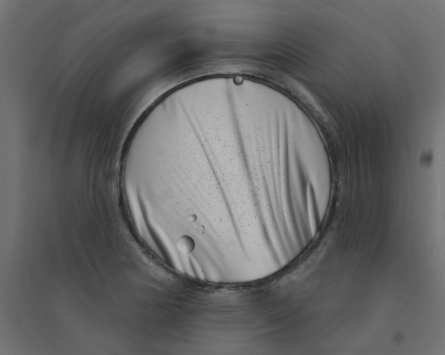 X0000094331178200711241822