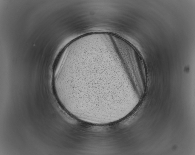 X0000094331179200711241822