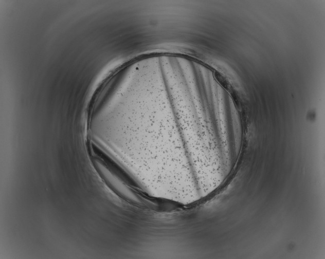 X0000094331180200711241822