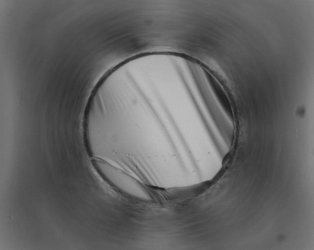 X0000094331181200711241822
