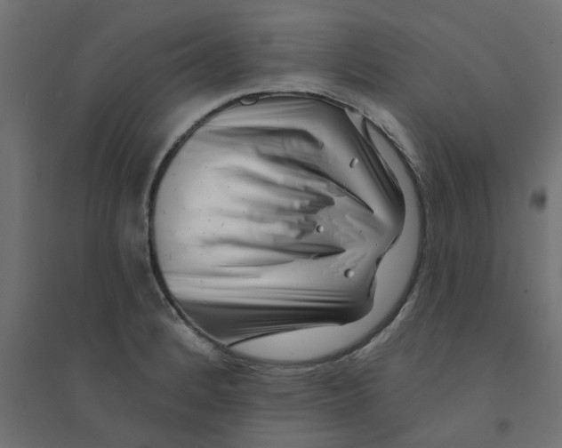 X0000094331184200711241822