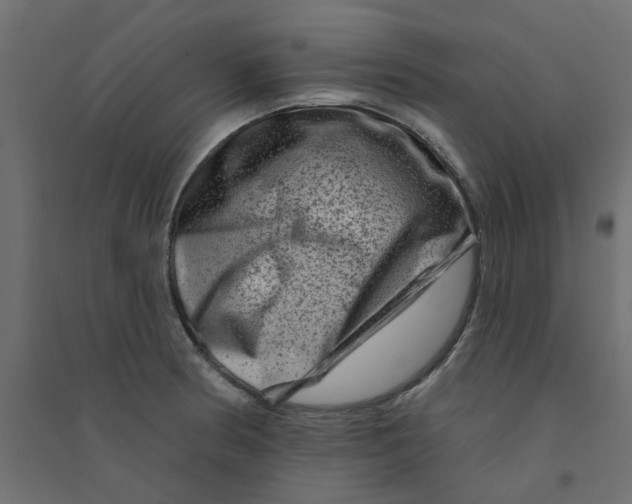 X0000094331186200711241822