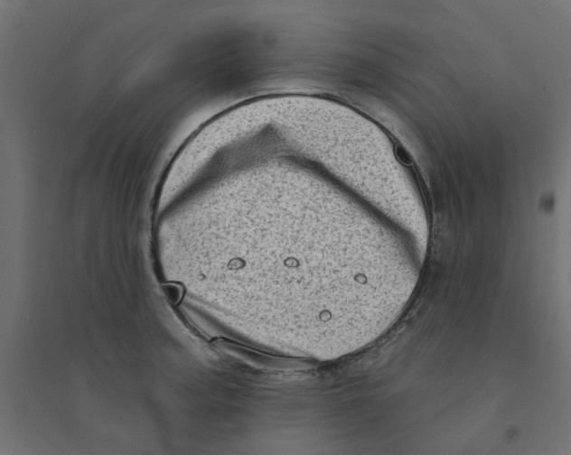 X0000094331187200711241822