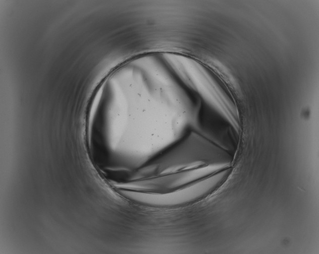 X0000094331188200711241822