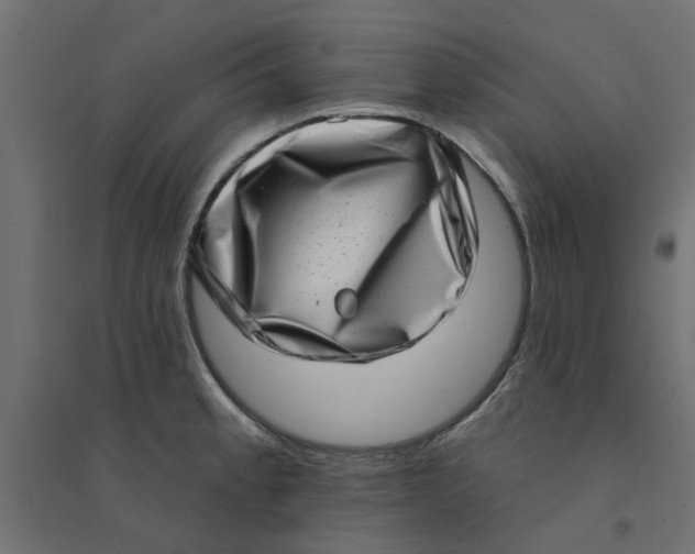 X0000094331189200711241822