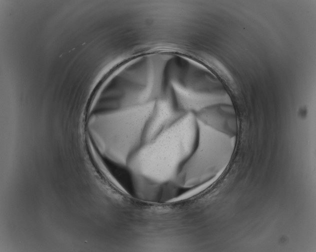 X0000094331190200711241822