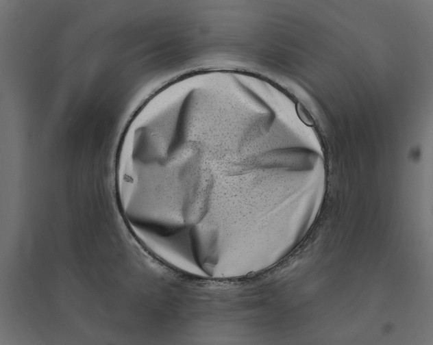 X0000094331191200711241822