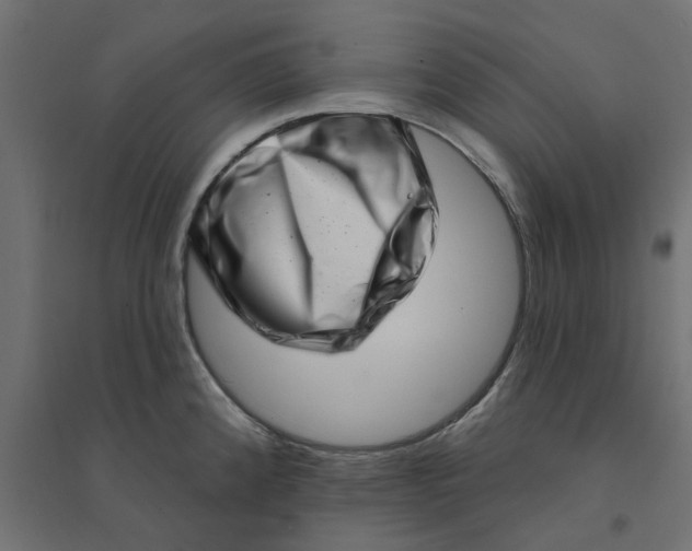 X0000094331192200711241822