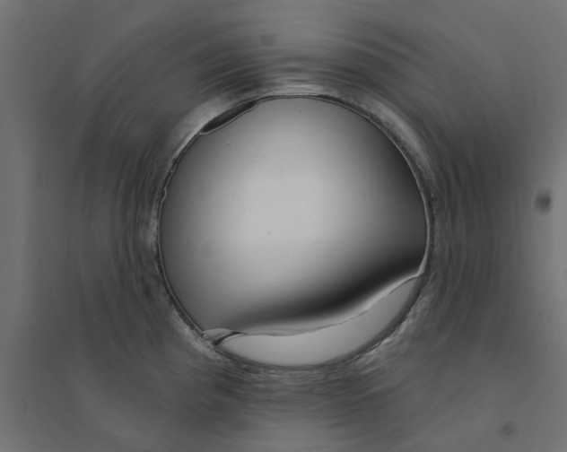 X0000094331193200711241822